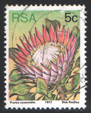 South Africa Scott 479a Used - Click Image to Close